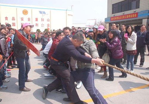拔河比赛（2013年春季职工运动会之三）