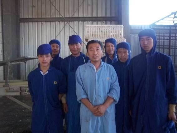 生产之星-屠宰加工厂明星领班